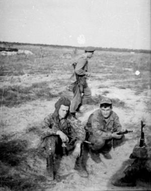 Paras in a field 